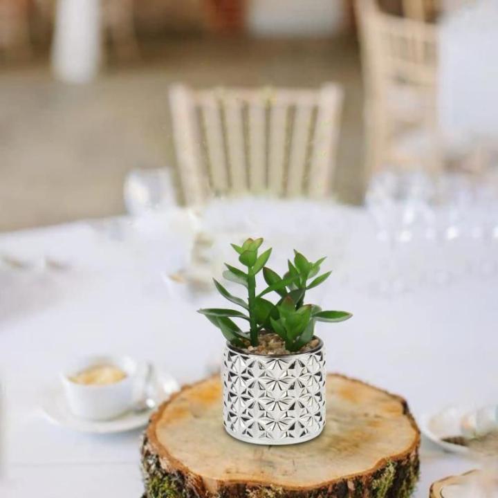 Set van 3 kunstvetplanten, decoratieve plant in zilveren glazen pot, decoratieve mini-vetplanten, kamerplant voor woonkamer, balkon, slaapkamer, badkamer, tafeldecoratie