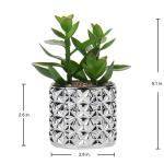 Set van 3 kunstvetplanten, decoratieve plant in zilveren glazen pot, decoratieve mini-vetplanten, kamerplant voor woonkamer, balkon, slaapkamer, badkamer, tafeldecoratie