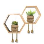 Mini-planten, vetplanten, kunstplant, klein met schattige smiley-pot, voor badkamer, keuken, hal, vensterbank, nachtkastje, decoratie
