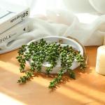 Opknoping Plant Kunstmatige Vetplanten Nep Koord van Parels Planten 30 cm in Houten Pot voor Indoor Outdoor Muur Decor (1 ST)
