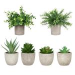 6 stuks vetplanten, in pot, vetplanten, , badkamer, mini-kunstvetplanten voor nep-vetplanten, thuis, bureau, woonkamerdecoratie
