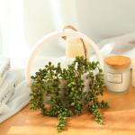 Opknoping Plant Kunstmatige Vetplanten Nep Koord van Parels Planten 30 cm in Houten Pot voor Indoor Outdoor Muur Decor (1 ST)