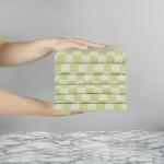 100% katoenen theedoek – verpakking van 6 stuks, groen chequered patroon | keuken handkleding set | absorberend, sterk, sneldrogend en machinewasbaar | voor woondecoratie en